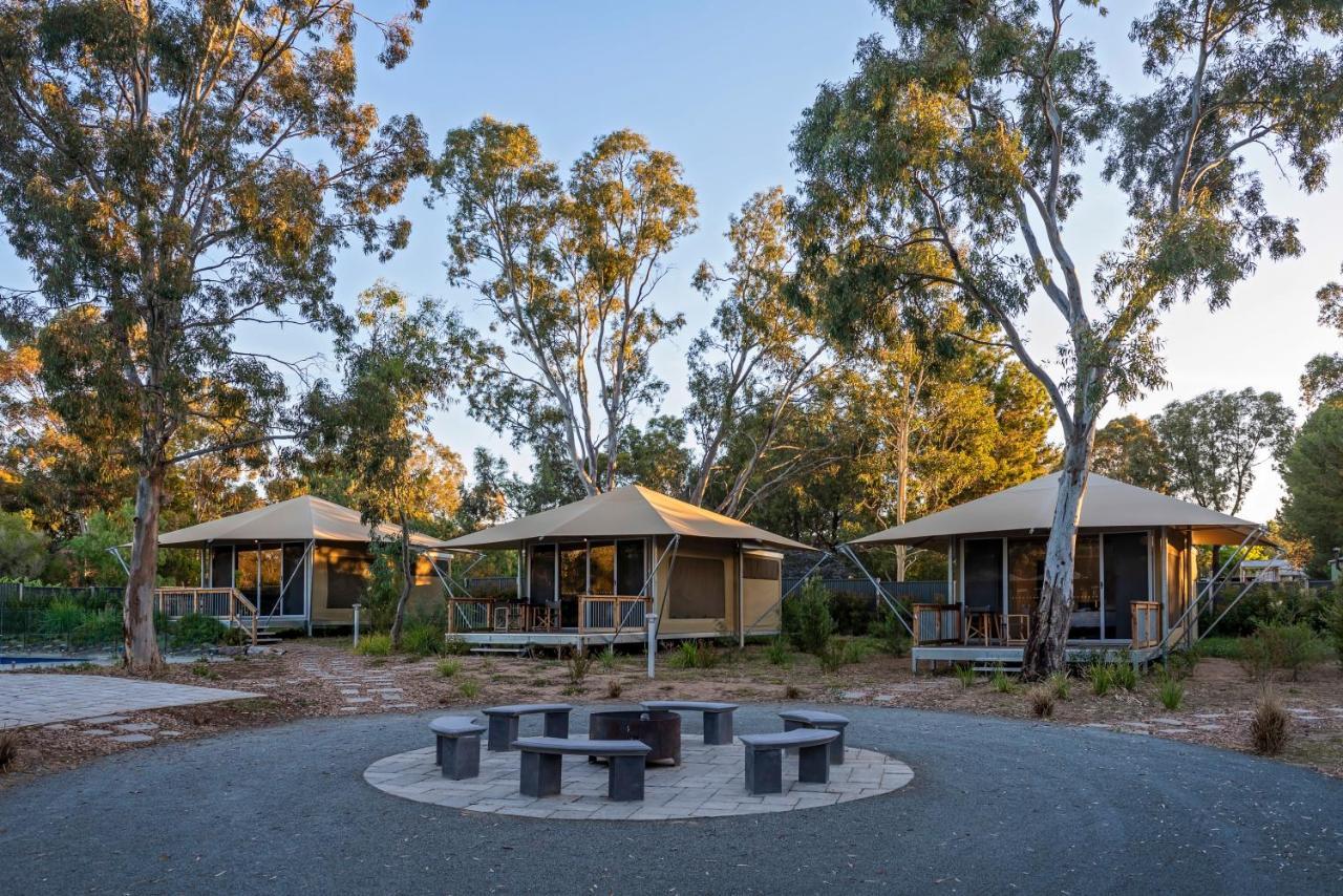 Discovery Parks - Barossa Valley Танунда Екстер'єр фото